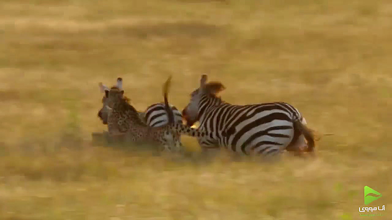 دوبله فارسی مستند یک روز شگفت انگیز روی زمین زمان60ثانیه