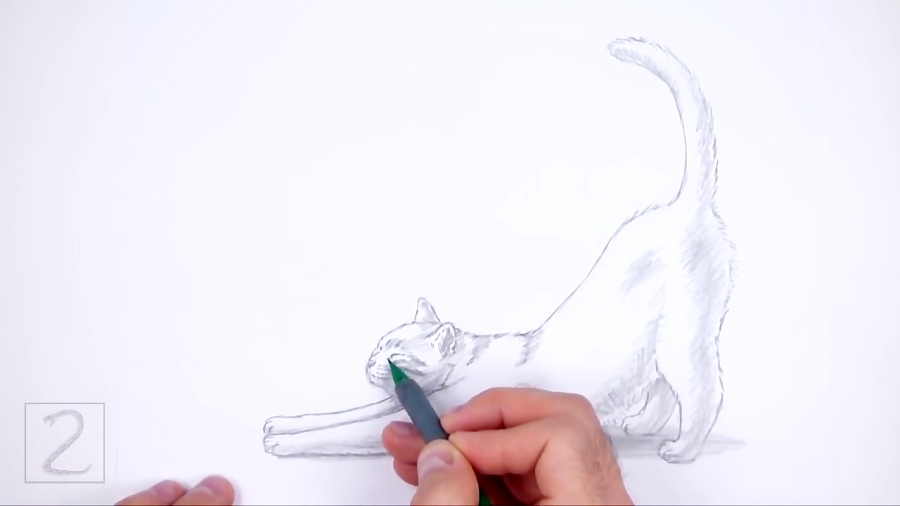How to Draw a Cat (Stretching)