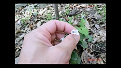 دیگه عاشق شدن فایده نداره