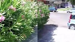 LG G3 vs Samsung Galaxy S5 Cam...