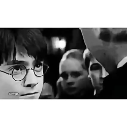 harry and draco harry and draco