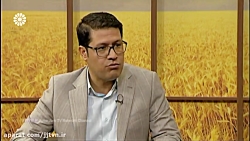 چالش های موسسات حقوقی-کارشناس...