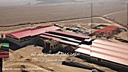 نجف آباد پویا