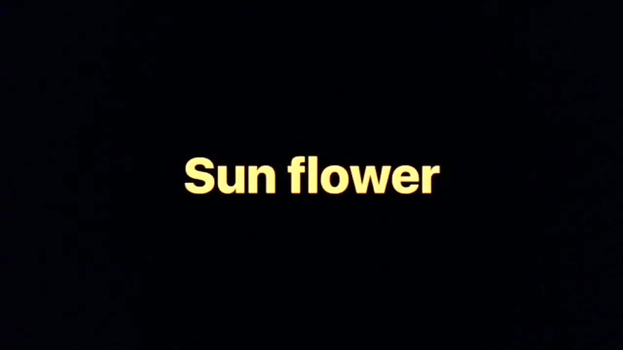 SUN FLOWER.    POSTMALONE. SWEA LEE (spaiderman into the spaider verse زمان152ثانیه