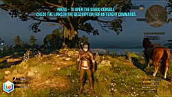 The Witcher 3 Wild Hunt Debug Console Enabler Cheat Infinite Money)