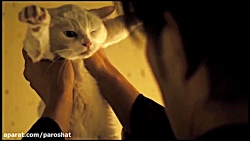 تیزر فیلم سینمایی گربه سامورای...