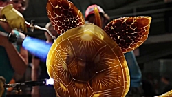 هنرمند شیشه گر ، لاک پشت می سا...