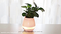 گلدان موزیکال هوشمند با اسپیکر...