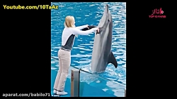 عادات عجیب حیوانات