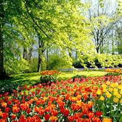 ♫ آهنگ شاد بسیار زیبا لری  بار...