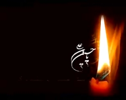 عجیبه که با وجود این همه مخلوق...