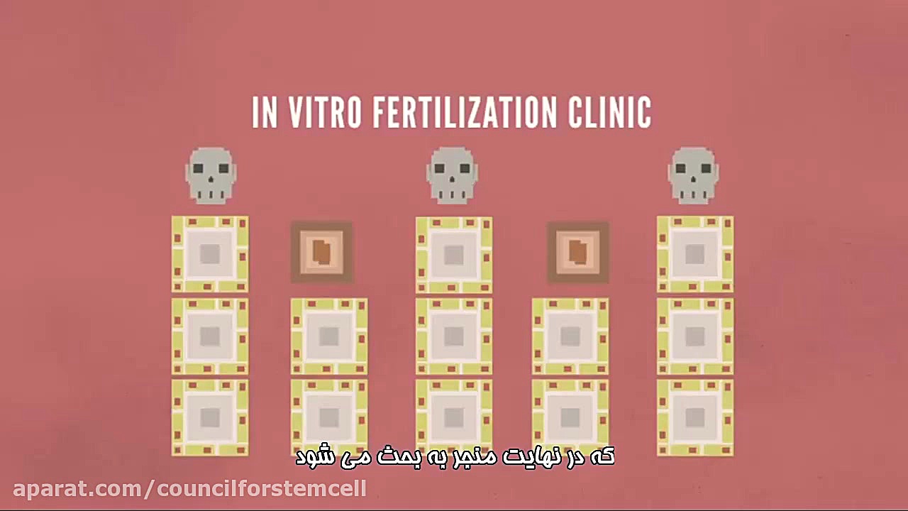 معرفی سلول های بنیادی جیجی حدید