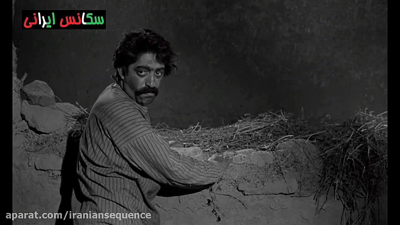 من مش حسن نیستم ، من گاو مش حسنم - فیلم سینمایی گاو زمان492ثانیه