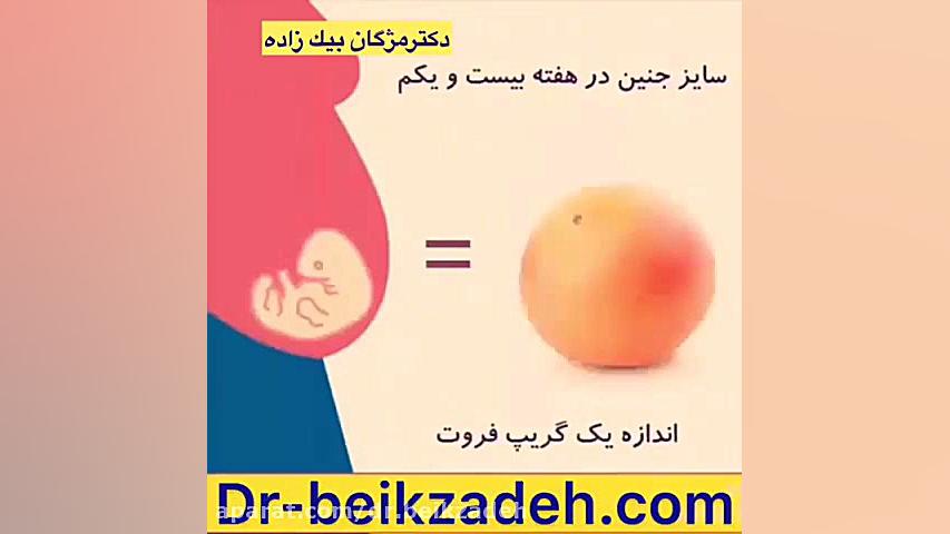 جنین در شکم مادر دکتر مژگان بیک زاده ( جراح و متخصص زنان و زایمان)