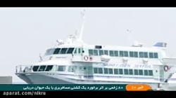 زخمی شدن بیش از ۸۰ نفر بر اثر...