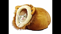 خانه های زیبا و باحال برای حیو...