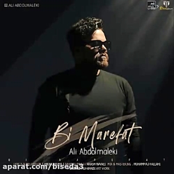 آهنگ جدید علی عبدالمالکی به نا...