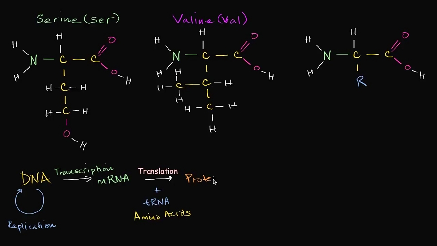 Introduction to amino acids Macromolecules Biology