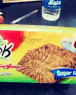 بیسکویت های حامله