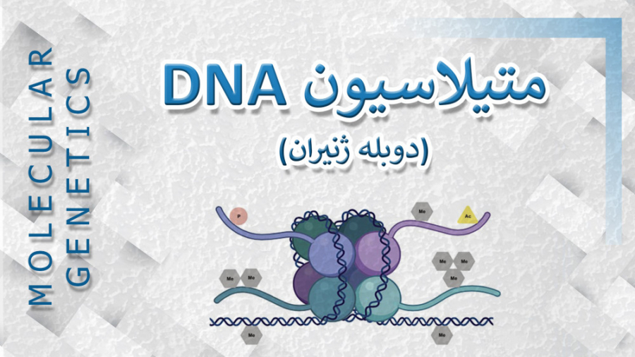 متیلاسیون DNA - دوبله ژنیران منافذ باز پوست