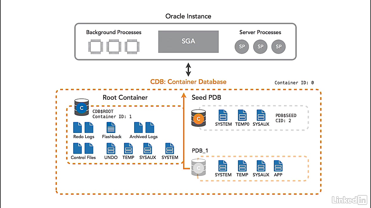 کورس ﻿Oracle - پیوند PDB SEED و PDB کلونینگ بررسی سطح اسید لاکتیک خون
