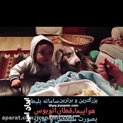وقتى سگ از بچه زودتر مامان گفت...