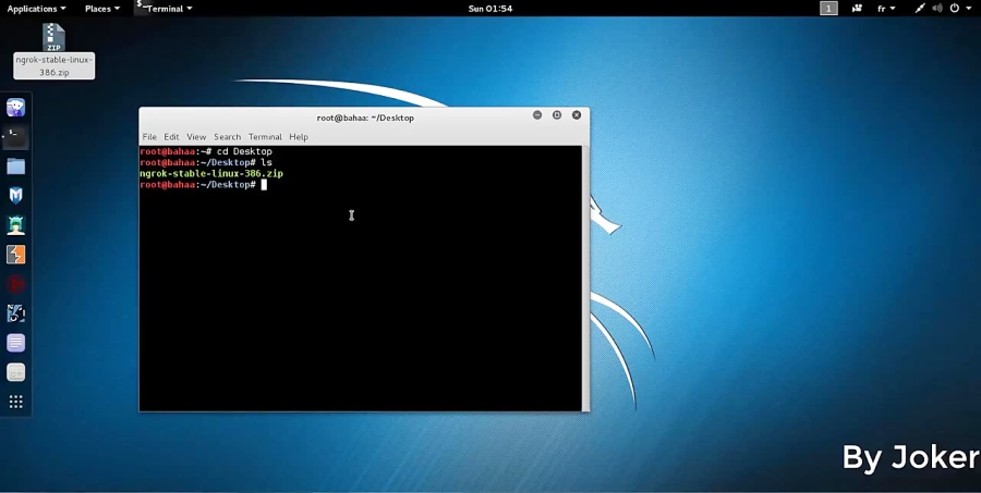 How Install Ngrok In Linux And Windows Full Tutorial