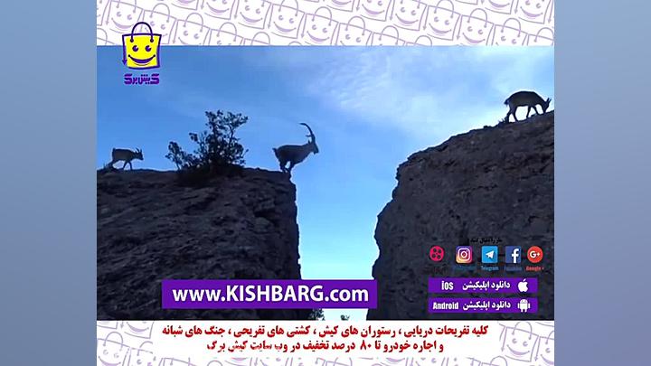 پوستر بزرگ