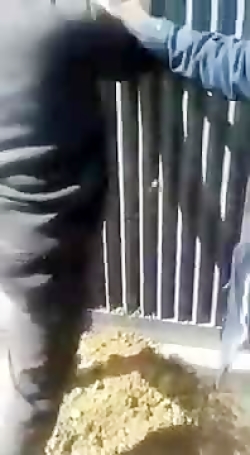 گل گرفتن در سازمان برنامه و بو...