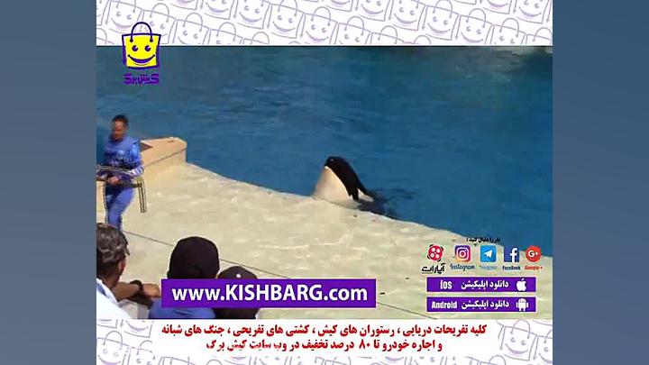 پوستر بزرگ