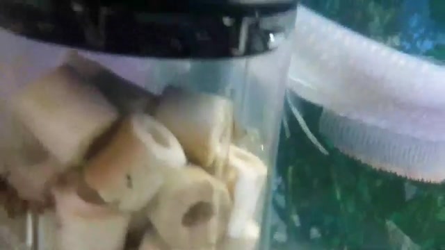 آروانا و سرسوسماری ( دوربین : گلکسی اس 5 ) زمان40ثانیه