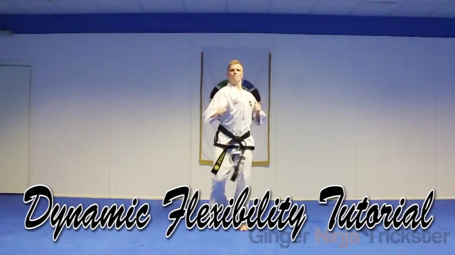 Taekwondo Kicking Dynamic Stretching Drills Get High Kicks Gnt Tutorial 2982