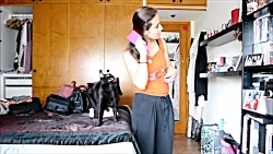 Cats Vs Comb  Funny Cats React...