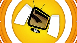 Cats VS Laser Pointers  Funny...