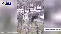 تصاویری از تیراندازی مرد مسلح...