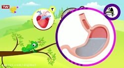 خدا چه آفریده؟ سفر پر پیچ و خم