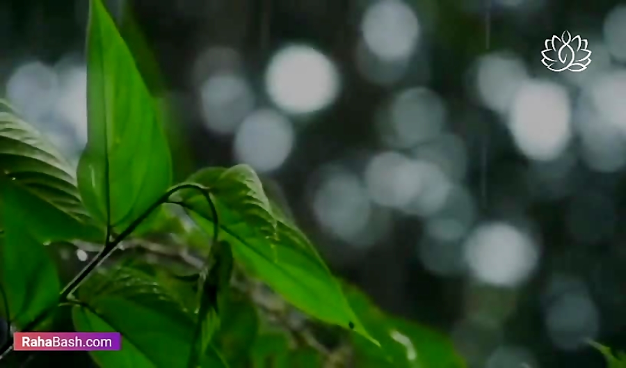 432 هرتز > صدای باران صبحگاهی > آرامش ذهن