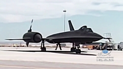 پرنده سیاه و سرّی امریکا