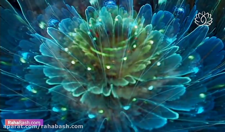 528 هرتز > بازسازی DNA > افزایش سطح انرژی 