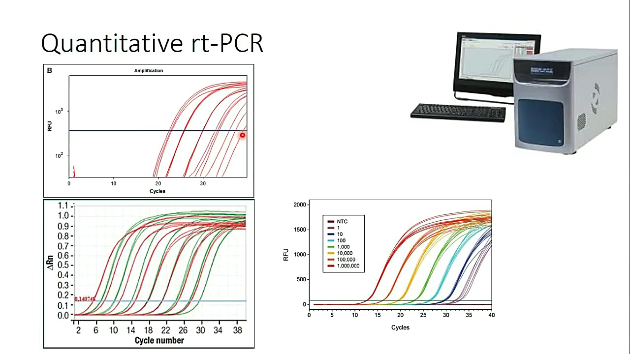 آموزش Real Time PCR ماکروسفالی