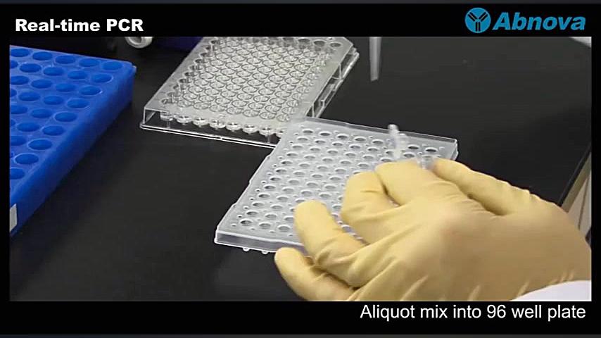 Real-time PCR جراحی پف زیر چشم
