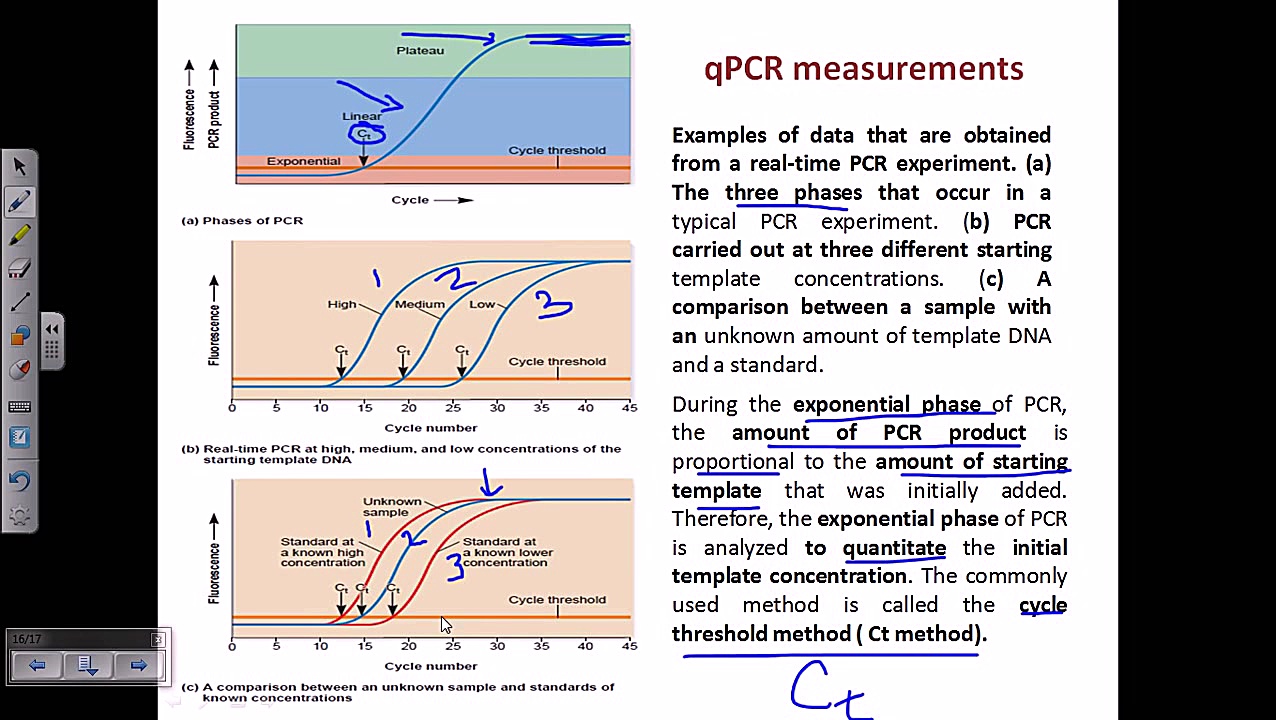 Quantitative real time PCR (qPCR) لایک