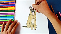 How to draw German Shepherd Do...