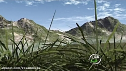 پرورش مرغ گوشتی - تلاش سبز