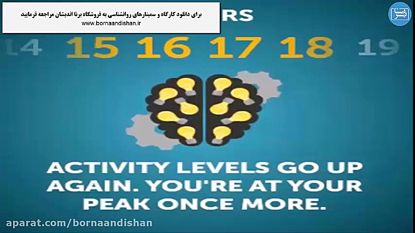مغز به چه شکلی فعالیت می کند؟ ناتالی پورتمن