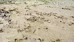 سیل در روستای گاچ