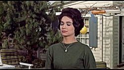 The Birds (2/11) Movie CLIP -...