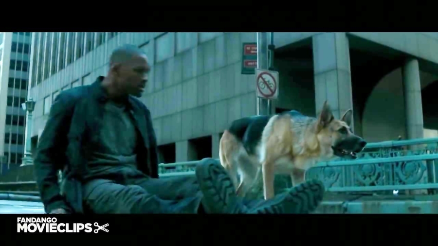 who is the dog in i am legend