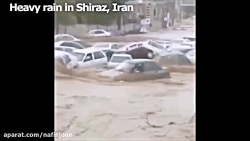 صحنه های از سیل وحشتاک شیراز