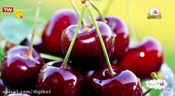 خدا چه آفریده؟ خوردنیهای خوشمز...